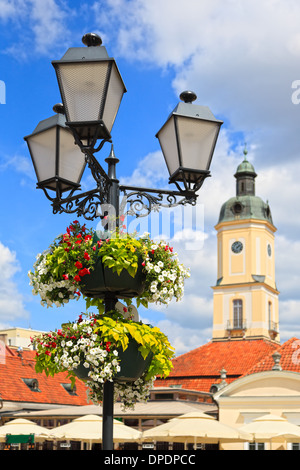 Blumenarrangement auf Straßenlaterne im Hintergrund das Rathaus in Bialystok, Polen. Stockfoto