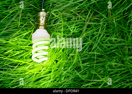 Stillleben mit Energieeinsparung Glühbirne auf Rasen Stockfoto