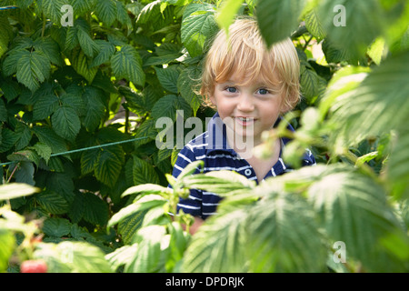 Kleiner Junge spielt im Garten Stockfoto