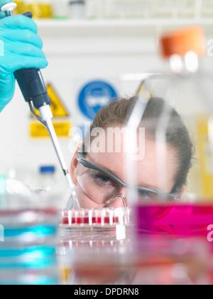 Wissenschaftler Pipettieren Stammzellkulturen in Schacht für die pharmazeutische Forschung Stockfoto