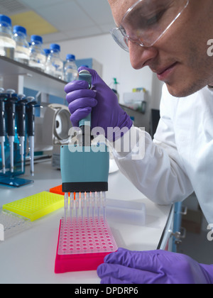 Männliche Forscher mit Multi-Pipette im Labor Stockfoto