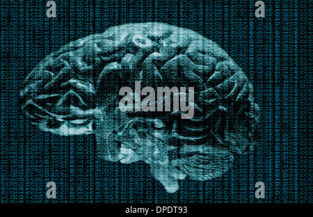 Studioaufnahme des Gehirns und Daten Stockfoto