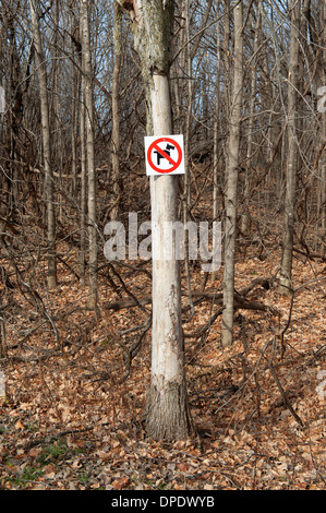 "Hunde sind nicht erlaubt" Schild an einem Baum im Oka Nationalpark, Provinz Quebec, Kanada genagelt. Stockfoto