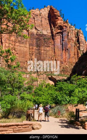 Wanderer auf der Riverside Walk am Temple of Sinawava, Zion Canyon, Zion Nationalpark, Utah, USA Stockfoto