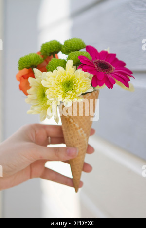 Detail der weiblichen Hand mit Blume Kegel Stockfoto