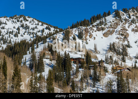 Maschinenbordbuch-Kabinen auf den Bergen der Wasatchkette, Utah, USA. Stockfoto