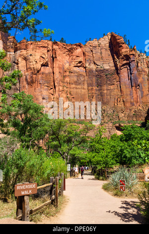 Wanderer auf der Riverside Walk am Temple of Sinawava, Zion Canyon, Zion Nationalpark, Utah, USA Stockfoto