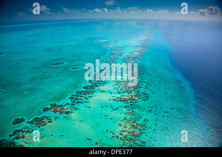 Riff Detail Belize Karibik Meso amerikanischen Reef Reserve Lighthouse Reef Atoll größte Riff in der westlichen Hemisphäre Luftbild Stockfoto