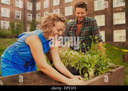 Paar Pflanzen aufgewachsen Bett auf Sozialsiedlung Zuteilung Stockfoto