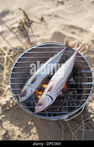 Zwei Fische Kochen über glühende Kohlen Stockfoto