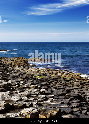 Der berühmte Giant es Causeway in Nordirland ist eine Fläche von ca. 40.000 ineinandergreifende Basaltsäulen Stockfoto