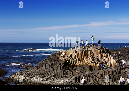 Der berühmte Giant es Causeway in Nordirland ist eine Fläche von ca. 40.000 ineinandergreifende Basaltsäulen Stockfoto