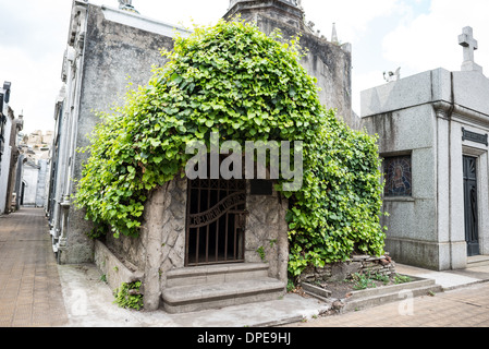 BUENOS AIRES, Argentinien – Ein Mausoleum aus Stein auf dem Friedhof Recoleta (Cementerio de la Recoleta) steht teilweise mit Kletterweben bedeckt. Das natürliche Wachstum bildet einen auffälligen Kontrast zur formalen Architektur und zeigt, wie die Natur mit den historischen Strukturen des Friedhofs interagiert. Diese atmosphärische Integration von Architektur und Vegetation veranschaulicht den sich im Laufe der Zeit entwickelnden Charakter des Friedhofs. Stockfoto