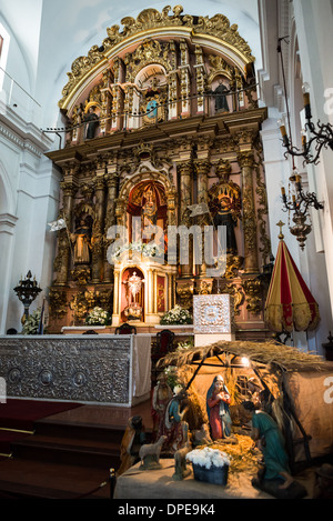 BUENOS AIRES, Argentinien – der barocke Hauptaltar des Basílica de Nuestra Señora del Pilar ist mit seinem ursprünglichen Design aus dem 18. Jahrhundert mit Inka-Ornamenten und peruanischen Silberarbeiten versehen. Eine traditionelle Krippe nimmt den Vorderraum vor dem Altar ein. Dieser historische Altar stammt aus dem Bau der Kirche von 1732 und ist eines der schönsten Beispiele religiöser Kunst aus der Kolonialzeit in Buenos Aires. Stockfoto