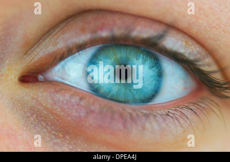 Linkes Auge, sehr ausdrucksstark und blau grün, einer Frau, ganz in der Nähe in die Höhe geschnellt. Stockfoto