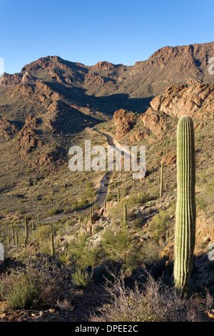 Gates Pass durchschneidet den Tucson Mountains, Saguaro-Nationalpark, West, Tucson, Arizona Stockfoto