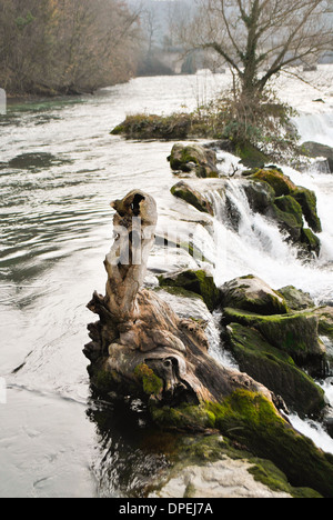 Rheinfall, Schweiz - größte plain Wasserfall in Europa Stockfoto