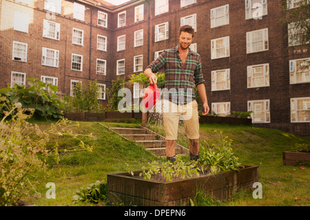 Mitte erwachsenen Mannes Hochbeete Bewässerung auf Sozialsiedlung Zuteilung Stockfoto