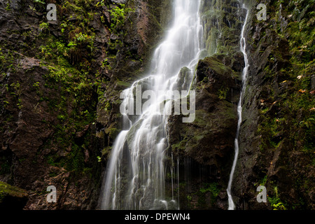 Wasserfall im Wald, Burgbach Wasserfall in der Nähe von Schapbach, Schwarzwald, Baden-Württemberg, Deutschland Stockfoto