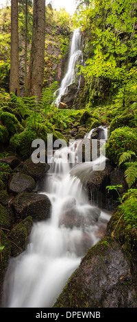 Wasserfall im Wald, Burgbach Wasserfall in der Nähe von Schapbach, Schwarzwald, Baden-Württemberg, Deutschland Stockfoto