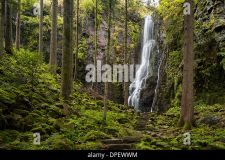 Wasserfall im Wald, Burgbach Wasserfall in der Nähe von Schapbach, Schwarzwald, Baden-Württemberg, Deutschland Stockfoto