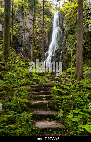 Wasserfall im Wald, Burgbach Wasserfall in der Nähe von Schapbach, Schwarzwald, Baden-Württemberg, Deutschland Stockfoto