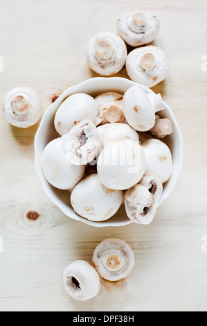 Schüssel mit Champignons Stockfoto