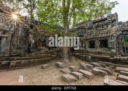 Dschungel umgeben Ruinen von Angkor, UNESCO-Weltkulturerbe, Ta Prohm Tempel (Rajavihara), Provinz Siem Reap, Kambodscha Stockfoto