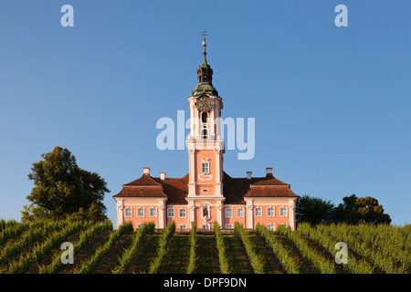 Weinberge und Wallfahrt Kirche Birnau Abbey, Unteruhldingen, Bodensee, Baden-Württemberg, Deutschland, Europa Stockfoto