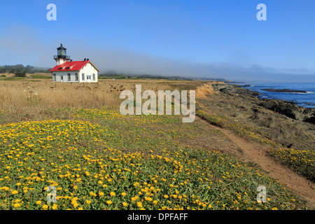 Cabrillo Point Lighthouse, Mendocino County, California, Vereinigte Staaten von Amerika, Nordamerika Stockfoto