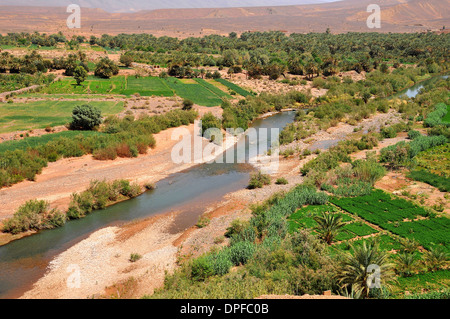 Landschaft der Draa-Tal, südlich von Ouarzazate und Agdz im Süden von Marokko, Nordafrika, Afrika Stockfoto