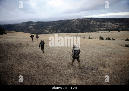 Vier Hirsche Jäger zu Fuß über Feld, John Day, Oregon, USA Stockfoto