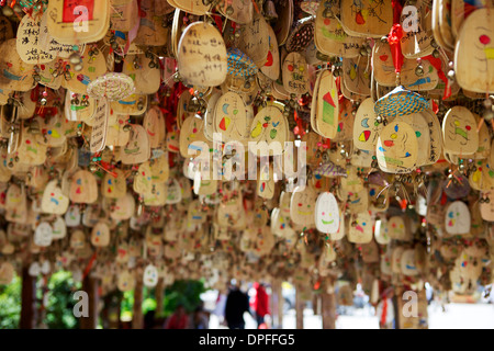 Hängende Segnungen des Naxi Piktogramme auf Holz in der Altstadt, Lijiang, UNESCO-Weltkulturerbe, Provinz Yunnan, China, Asien Stockfoto