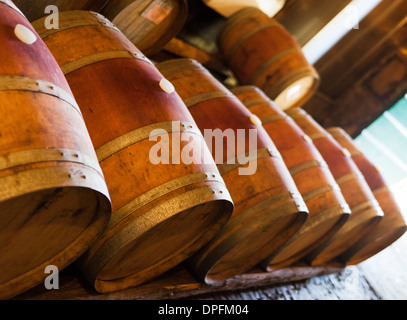 Weinlagerung Fässer gespeicherten Weingut Keller in der Nähe von Lucca Toskana Italien Stockfoto