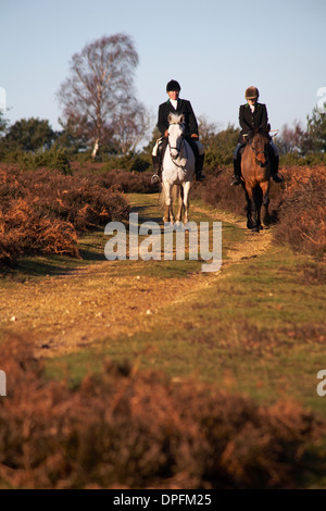 Pferdereiten im Bratley View, New Forest National Park, Hampshire UK im Januar Stockfoto