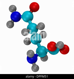 Ball und Stick-Modell an der Aminosäure Glutamin Stockfoto