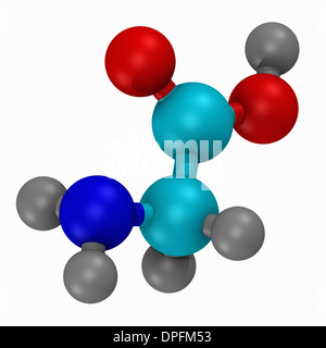 Ball und Stick-Modell die Aminosäure Glycin Stockfoto