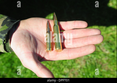 7,62 mm. 5' Runde, Kugeln, Munition, Munition, Munition Stockfoto