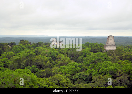 Tempel der Maya-Kultur in Tikal in Guatemala, gesehen vom Tempel Nr. 4 Stockfoto