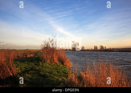 Ein Blick auf den Fluss Bure auf den Norfolk Broads im Winter in der Nähe von Horning, Norfolk, England, Vereinigtes Königreich. Stockfoto