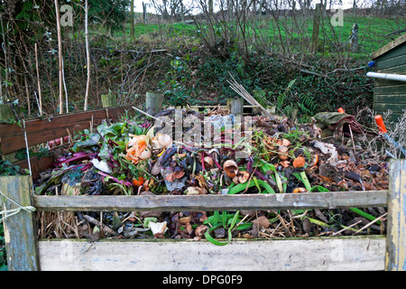 Haufen von Gemüseabfällen verrottet im Gartenkomposthaufen in Holzkompostiereimer im Winter in Carmarthenshire Wales Großbritannien KATHY DEWITT Stockfoto