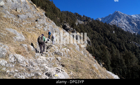 Triund Indrahar Pass Weg, mit Blick auf Berge Dhauladhar, oben Mcleodganj, Dharamasala, Himachal Pradesh, Nordindien. Stockfoto