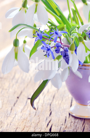 Schneeglöckchen schönen Blumenstrauß in einer Vase auf holzigen Hintergrund Stockfoto