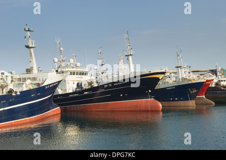 Fraserburgh Hafen, Aberdeenshire, Schottland, UK. Stockfoto