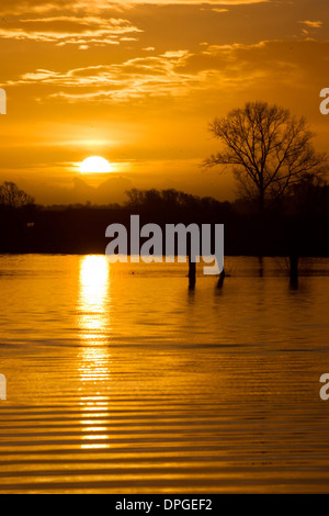 Die Sonne geht über überfluteten Feldern in der Nähe von Glastonbury, Somerset Stockfoto