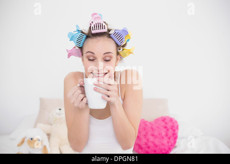 Lustige natürliche braune kurzhaarige Frau in Lockenwicklern genießen Kaffee Geruch Stockfoto
