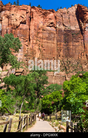 Wanderer auf der Riverside Walk am Temple of Sinawava, Zion Canyon, Zion Nationalpark, Utah, USA Stockfoto