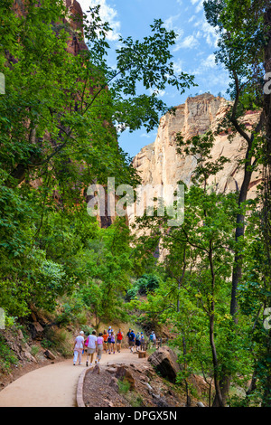 Wanderer auf der Riverside Walk am Temple of Sinawava, Zion Canyon, Zion Nationalpark, Utah, USA Stockfoto