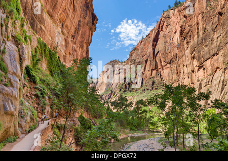 Wanderer auf der Riverside Walk entlang des Virgin River am Temple of Sinawava, Zion Canyon, Zion Nationalpark, Utah, USA Stockfoto