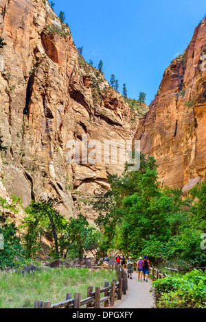 Wanderer auf der Riverside Walk am Temple of Sinawava, Zion Canyon, Zion Nationalpark, Utah, USA Stockfoto